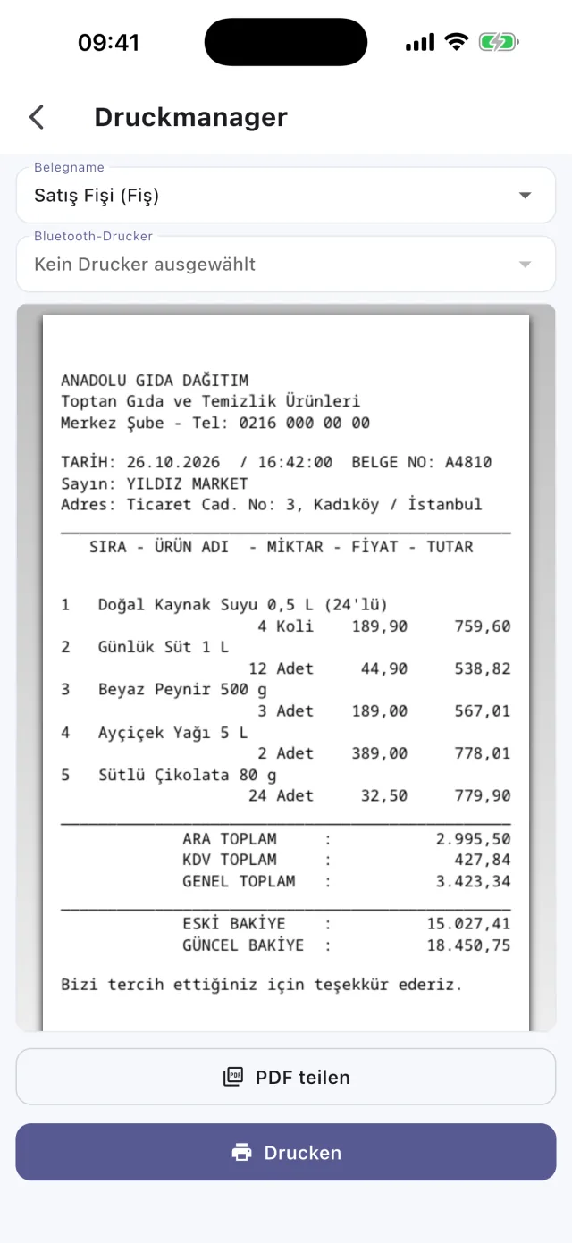 Sahatek Mobil Satış Belegvorschau